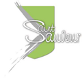 logo-saint-sauveur