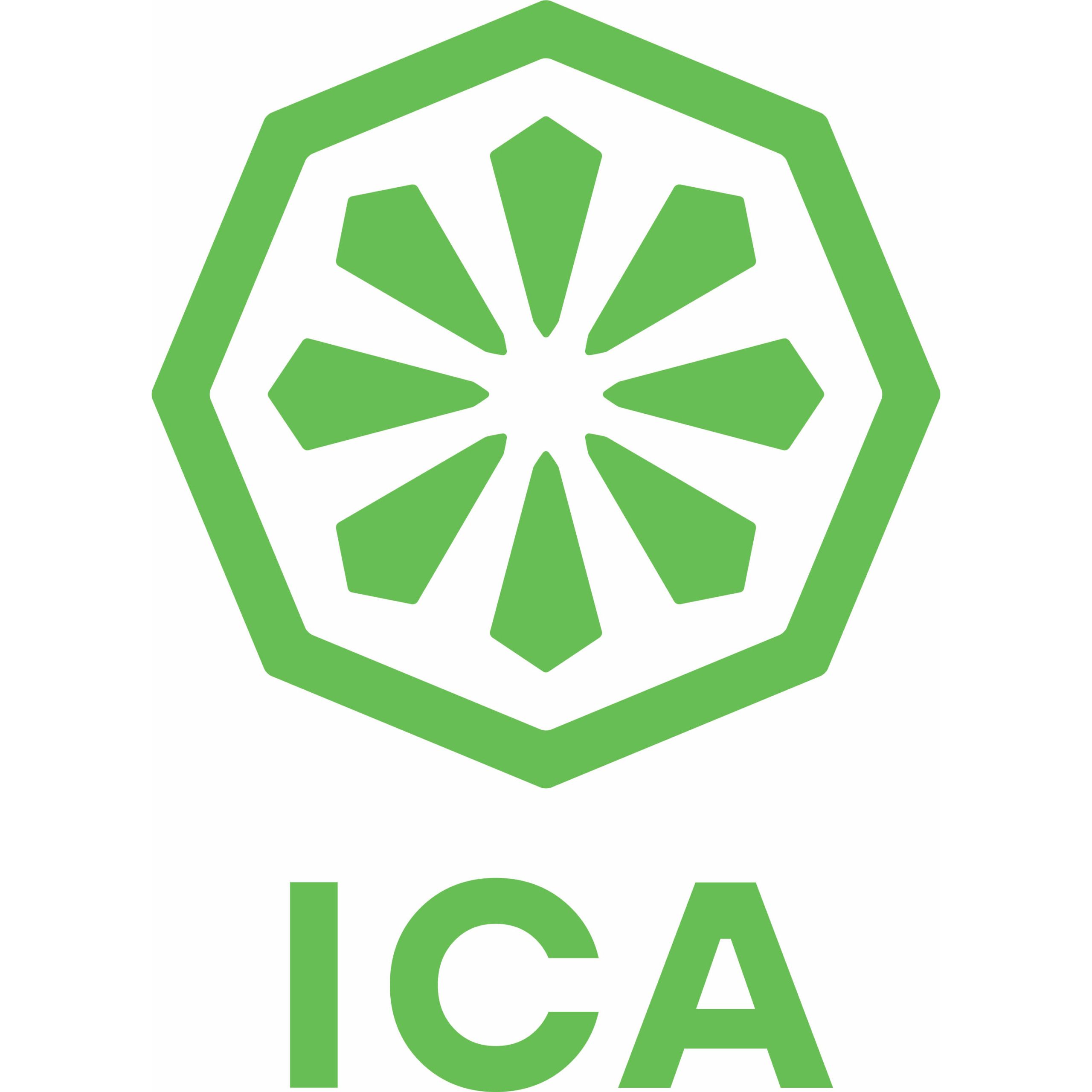 white-logo-ica